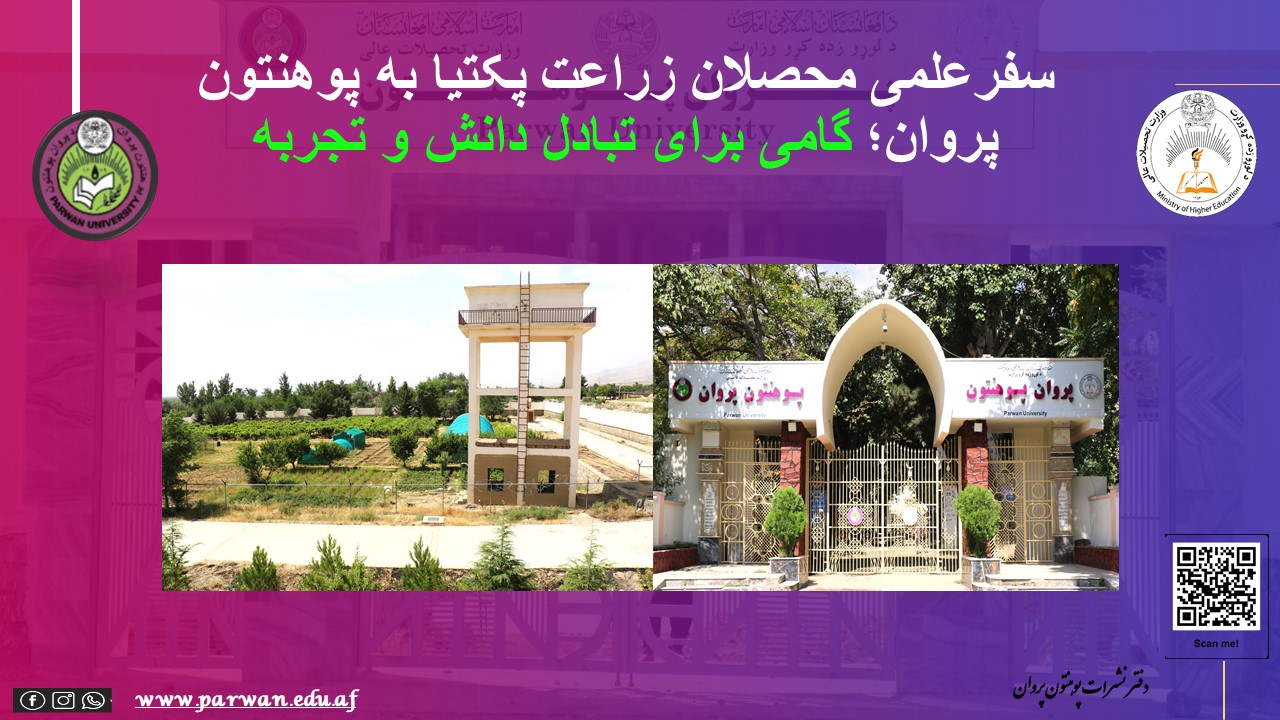 خبر