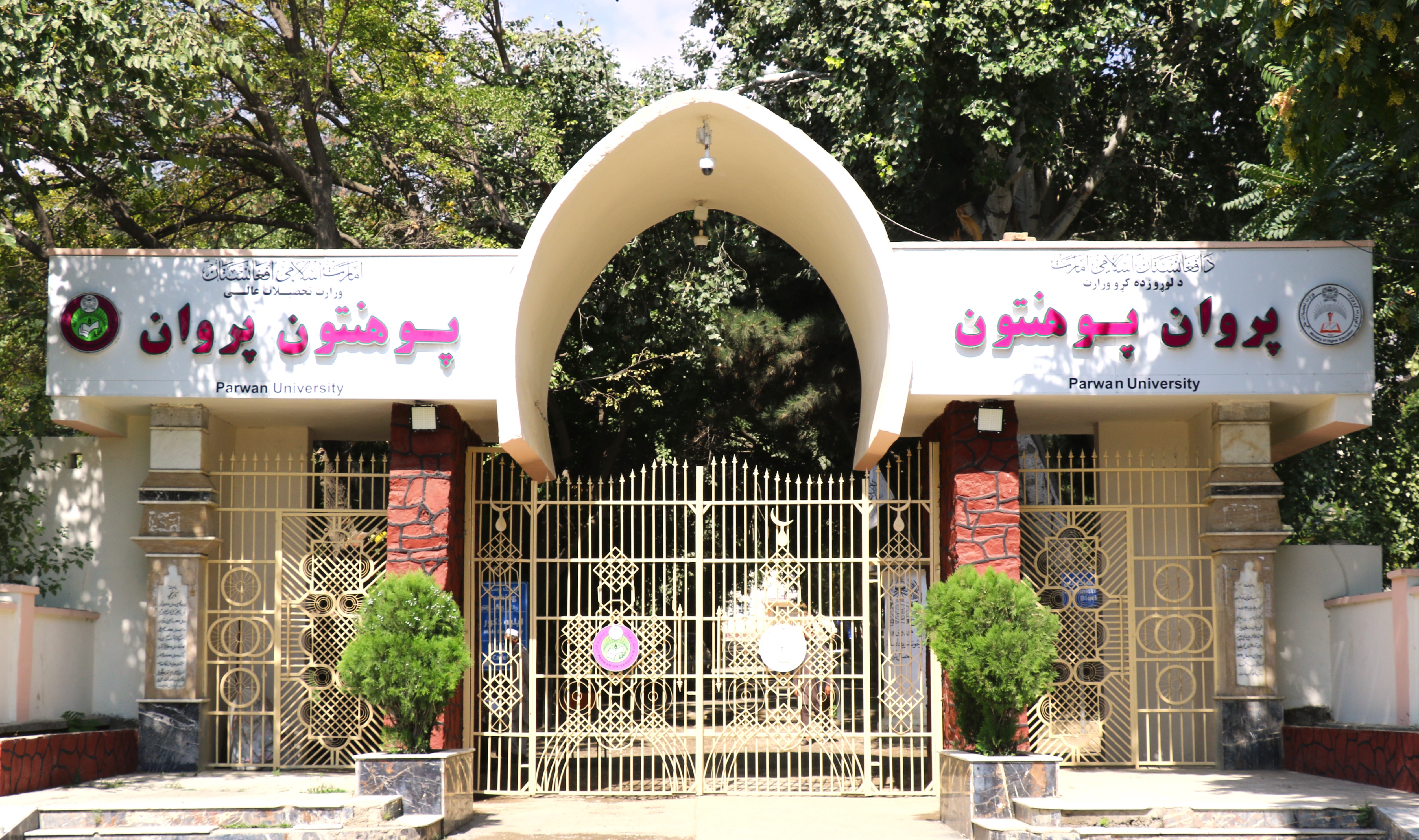 خبر